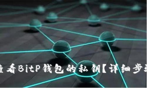 如何查看BitP钱包的私钥？详细步骤解析