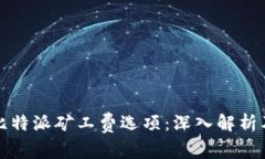 如何选择比特派矿工费选项：深入解析及实用指
