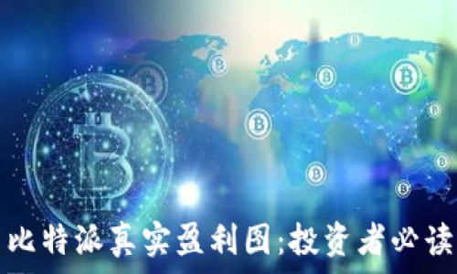   
揭示比特派真实盈利图：投资者必读指南