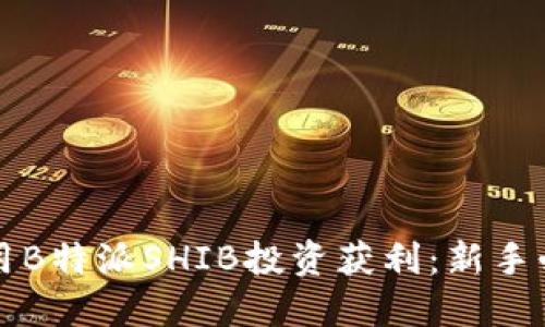 如何利用B特派SHIB投资获利：新手必看指南