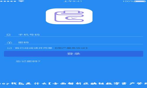 BitKeep钱包是什么?全面解析区块链数字资产管理工具