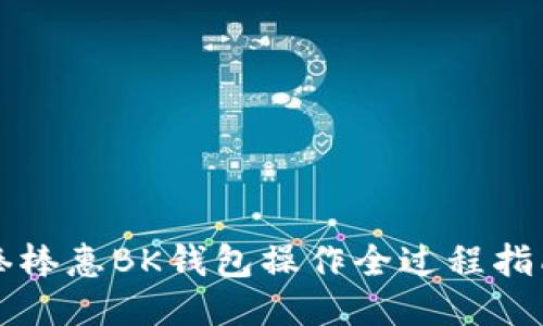 棒棒惠BK钱包操作全过程指南