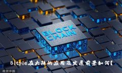 Bitpie在大陆的应用及发展前景如何？
