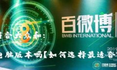 思考一个符合大众和:“B特派有电脑版本吗？如何