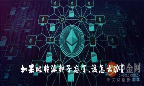 如果比特派种子忘了，该怎么办？