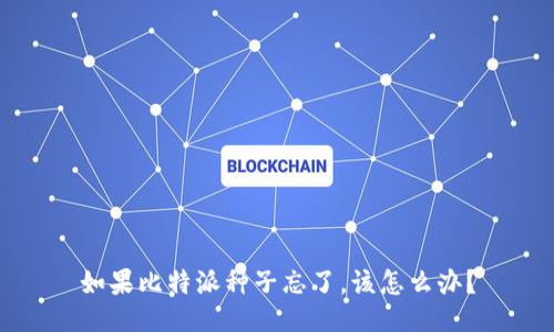 如果比特派种子忘了，该怎么办？