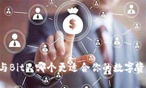 IM钱包与BitP：哪个更适合你的数字资产管理？
