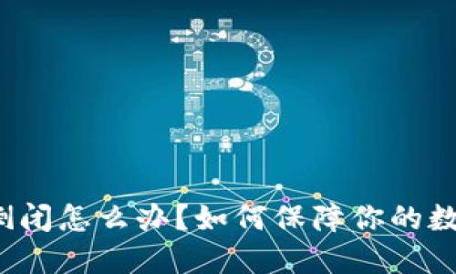 比特派钱包倒闭怎么办？如何保障你的数字资产安全？