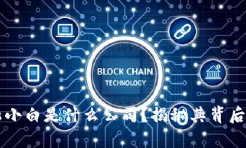 区块链金融小白是什么公司？揭秘其背后的运作模式