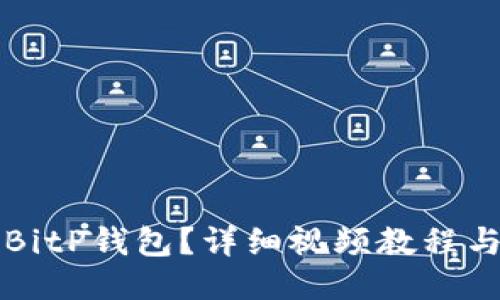 如何使用BitP钱包？详细视频教程与操作指南