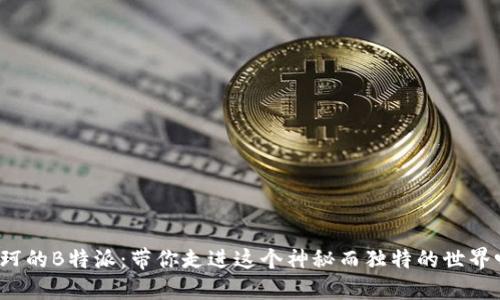 王珂的B特派：带你走进这个神秘而独特的世界吗？