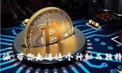王珂的B特派：带你走进这个神秘而独特的世界吗