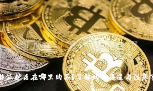 比特派护盾在哪里购买？了解购买渠道与注意事项