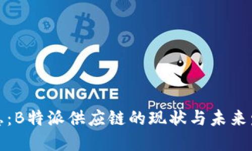  最新消息：B特派供应链的现状与未来发展如何？