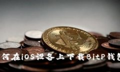 如何在iOS设备上下载BitP钱包？