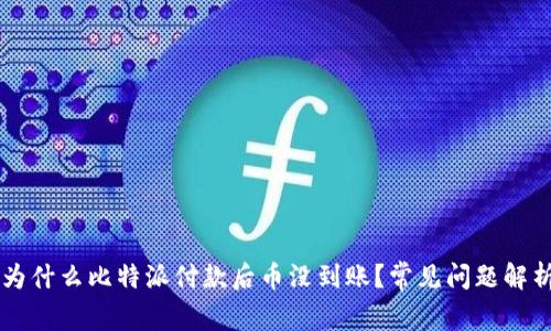 为什么比特派付款后币没到账？常见问题解析
