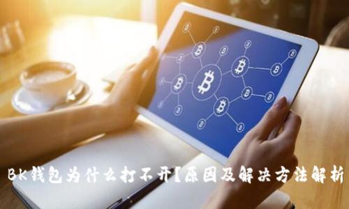 BK钱包为什么打不开？原因及解决方法解析