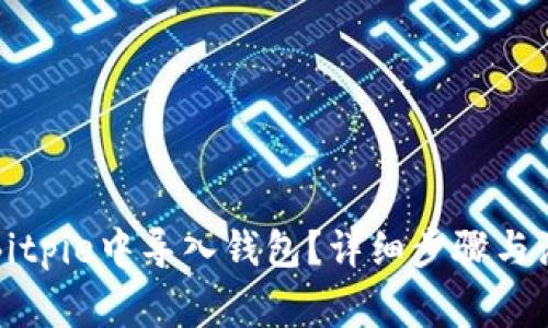 如何在Bitpie中导入钱包？详细步骤与注意事项