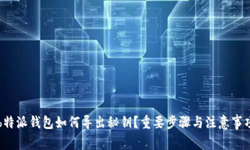 b特派钱包如何导出秘钥？重要步骤与注意事项