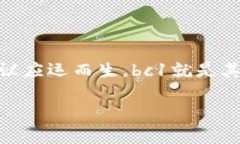 比特派支持bc1是一个非常有趣的话题，尤其是在