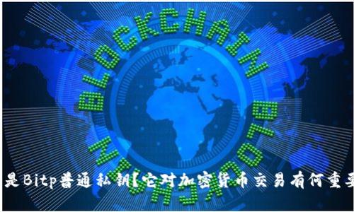 什么是Bitp普通私钥?它对加密货币交易有何重要性?