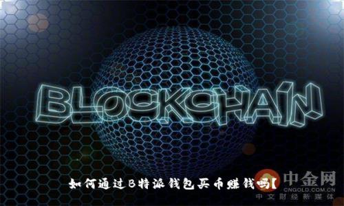 如何通过B特派钱包买币赚钱吗？