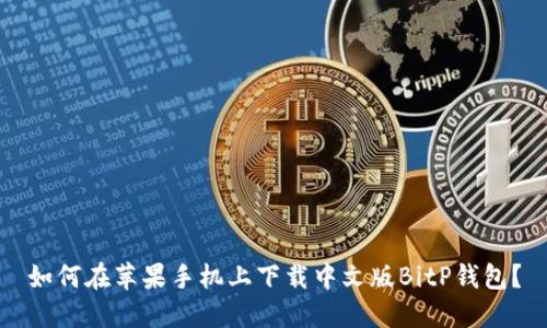 如何在苹果手机上下载中文版BitP钱包？