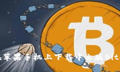 如何在苹果手机上下载中文版BitP钱包？