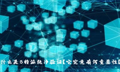 什么是B特派纯净验证？它究竟有何重要性？