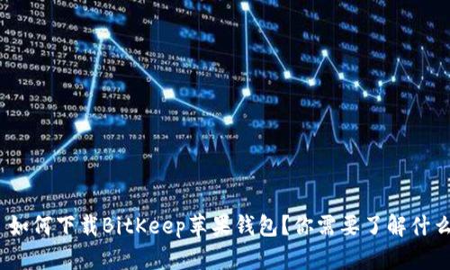 : 如何下载BitKeep苹果钱包？你需要了解什么？