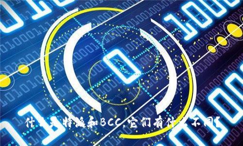 什么是特派和BCC，它们有什么不同？