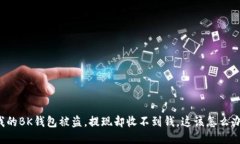 我的BK钱包被盗，提现却收不到钱，这该怎么办？
