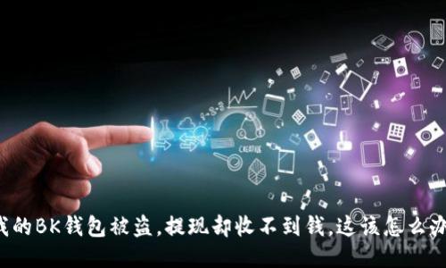 我的BK钱包被盗，提现却收不到钱，这该怎么办？