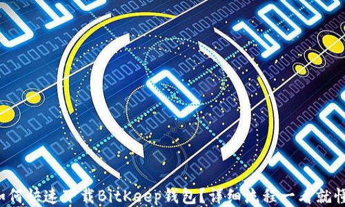 
如何快速下载BitKeep钱包？详细流程一看就懂！
