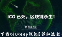 如何快速下载BitKeep钱包？详细流程一看就懂！