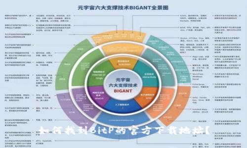 如何找到BitP的官方下载地址？