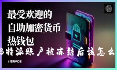当B特派账户被冻结后该怎么办？