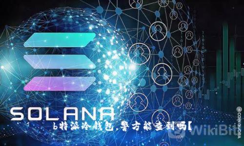 b特派冷钱包，警方能查到吗？