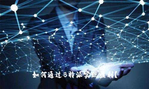 如何通过B特派实现盈利？