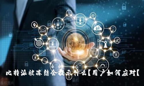 比特派被冻结会提示什么？用户如何应对？