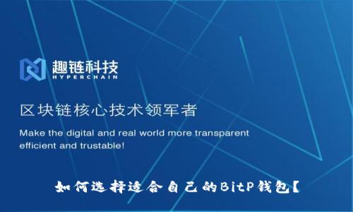 如何选择适合自己的BitP钱包？