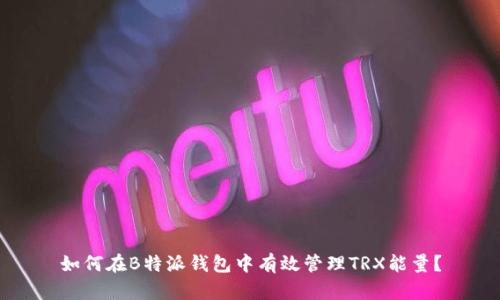 如何在B特派钱包中有效管理TRX能量？