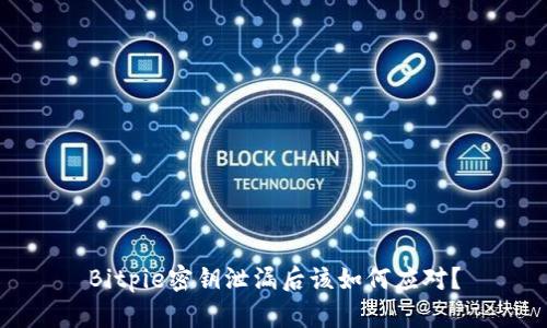 Bitpie密钥泄漏后该如何应对？