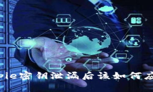 Bitpie密钥泄漏后该如何应对？