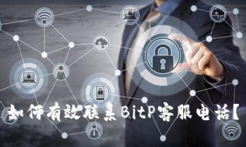 如何有效联系BitP客服电话？