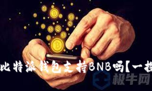 ilaoti比特派钱包支持BNB吗？一探究竟！
