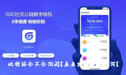 比特派会不会倒闭？未来发展趋势如何？