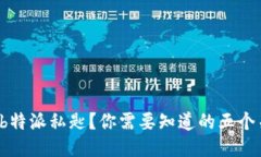 什么是b特派私匙？你需要知道的五个关键点！