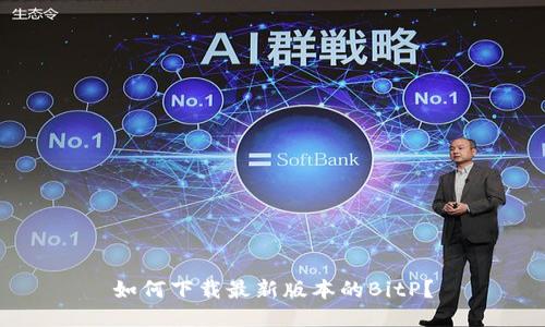 如何下载最新版本的BitP？