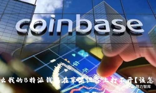 为什么我的B特派钱包在苹果设备上打不开？该怎么办？